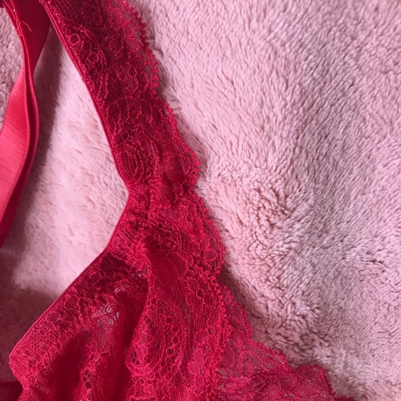 Divine Full Coverage lace Bra - Picture 7 of 12